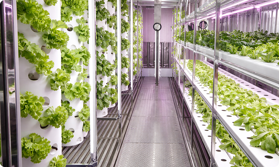 Base network farming