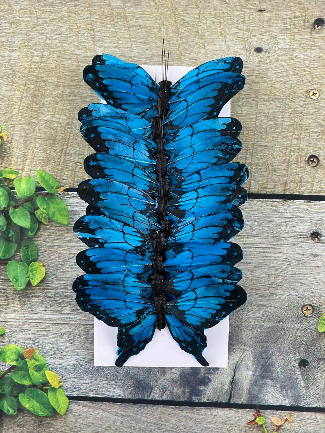Morpho Blue